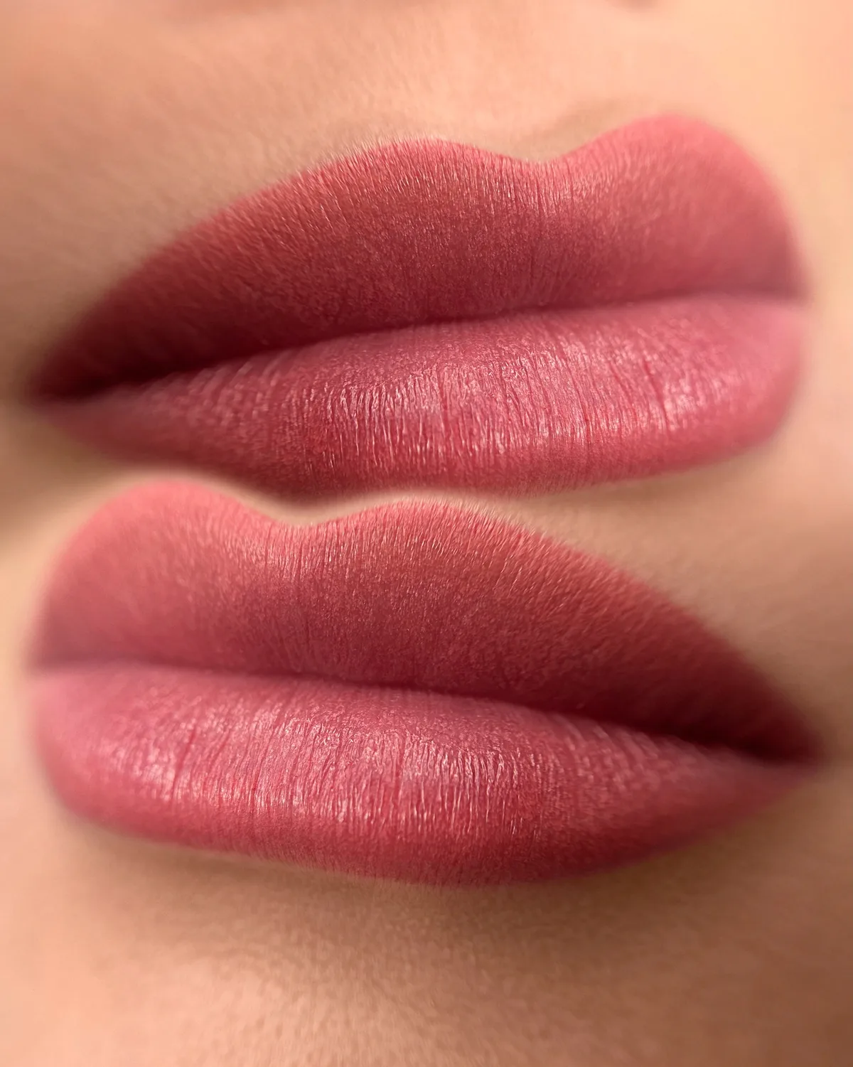 Lippenpigmentierung in einem weichen Nude-Ton