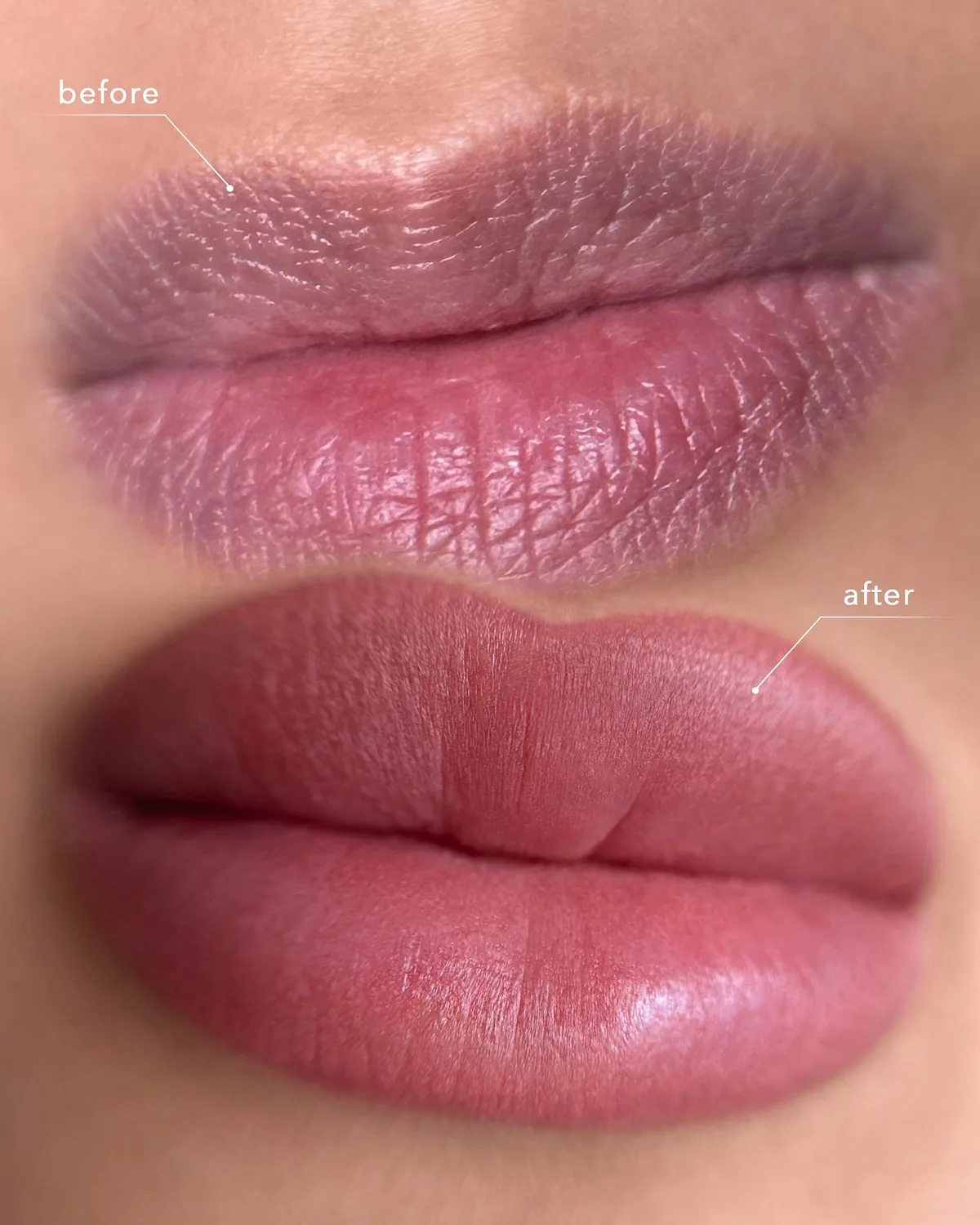 Lip Blush vorher und nachher, Lippenpigmentierung im Vergleich